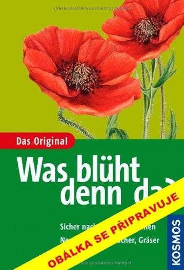 Kniha: Co tu kvete? Origin. průvodce přírodou - Spohnová Margot- Spohn Roland