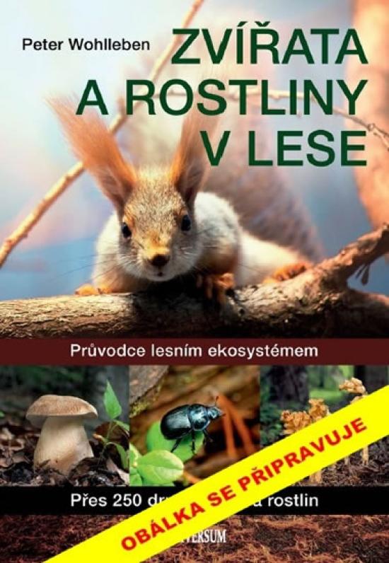 Kniha: Zvířata a rostliny v lese - Wohlleben Peter