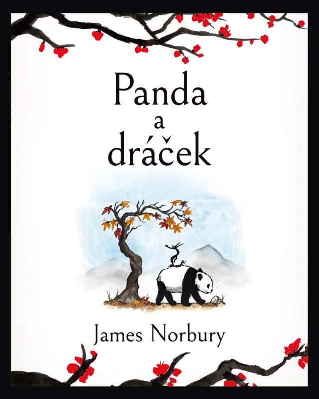 Kniha: Panda a dráček - Norbury James