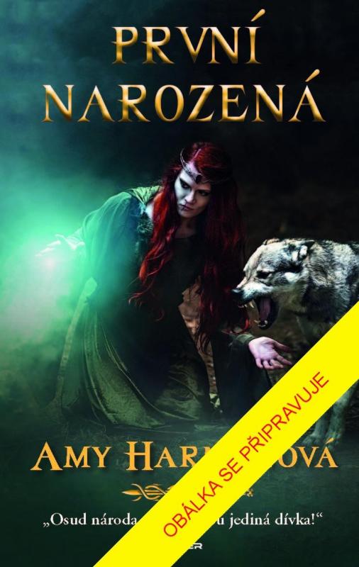 Kniha: První narozená - Harmon Amy