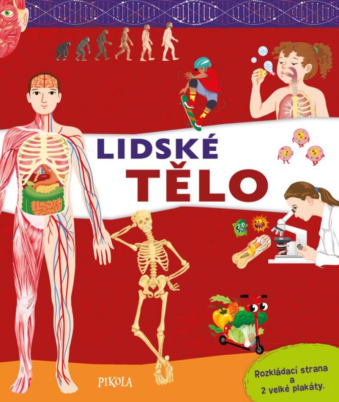 Kniha: Lidské tělo - Claude JM
