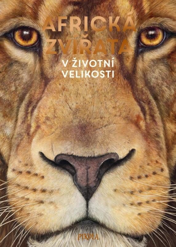 Kniha: Africká zvířata: V životní velikosti - Haag Holger