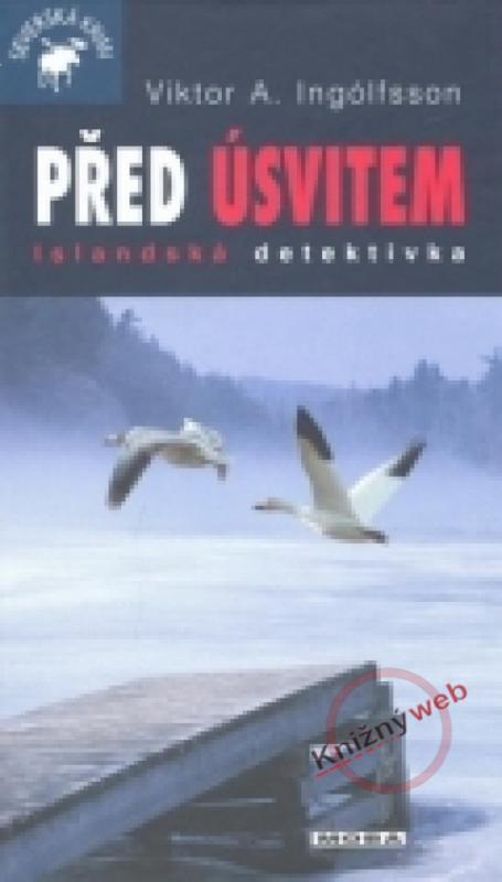 Kniha: Před úsvitem - Ingólfsson Viktor Arnar