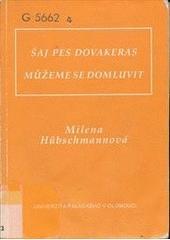 Kniha: Můžeme se domluvit. Šaj pes dovakeras 4.vydání - Milena Hübschmannová