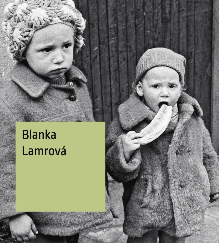 Kniha: Blanka Lamrová - Štěpánka Bieleszová