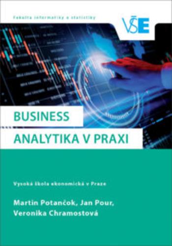 Kniha: Business analytika v praxi - Martin Potančok