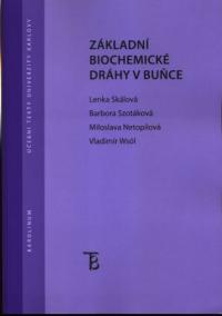 Základní biochemické dráhy v buňce