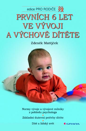 Kniha: Prvních 6 let ve vývoji a výchově dítěte - Matějček Zdeněk