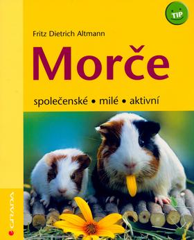 Kniha: Morče - společenské,milé,aktivní - Altmann Fritz Dietrich