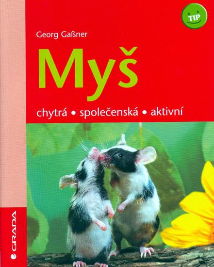 Kniha: Myš - Chytrá,společenská,aktivní - Gassner Georg
