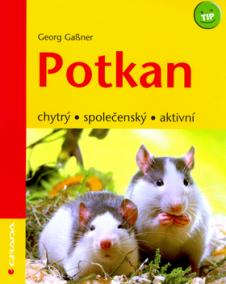 Potkan - chytrý,společenský,aktivní