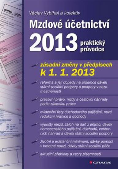 Kniha: Mzdové účetnictví 2013 - praktický průvodce - Vybíhal a kolektiv Václav