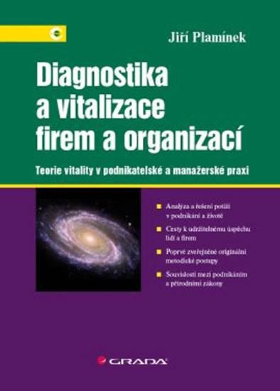 Kniha: Diagnostika a vitalizace firem a organizací - Teorie vitality v podnikatelské a manažerské praxi - Plamínek Jiří