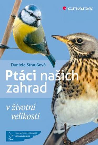 Kniha: Ptáci našich zahrad v životní velikosti - Straußová Daniela