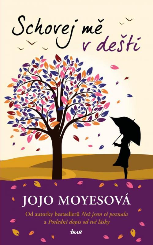 Kniha: Schovej mě v dešti - Moyesová Jojo