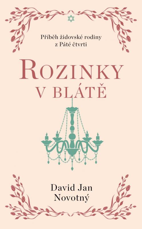 Kniha: Rozinky v blátě - Dva tucty střepů - Novotný David Jan