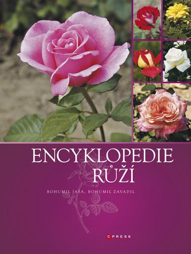 Kniha: Encyklopedie růží - Bohumil Jaša, Bohumil Zavadil
