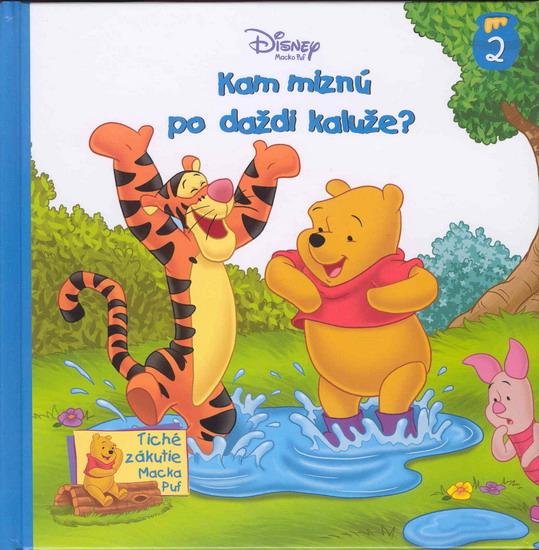 Kniha: Kam miznú po daždi kaluže? - Macko Puf - Disney