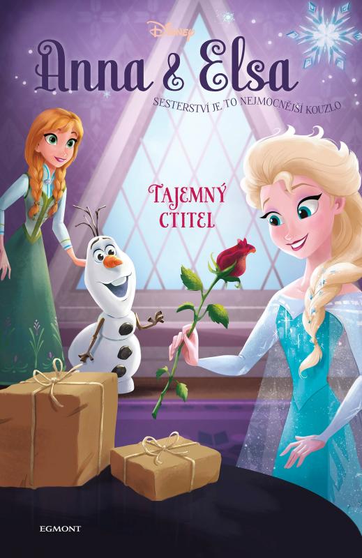 Kniha: Anna a Elsa Tajemný ctitel - Erica David