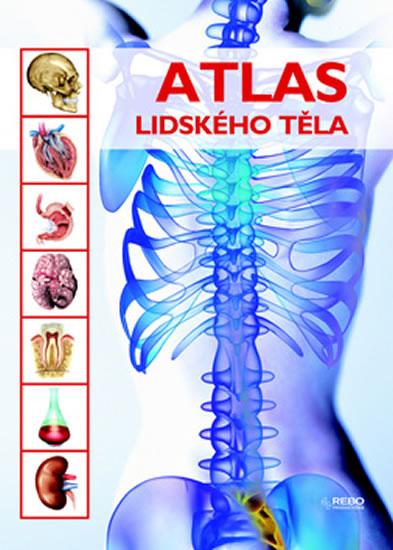 Kniha: Atlas lidského tělaautor neuvedený