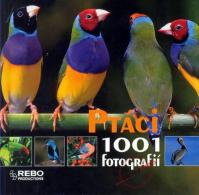 Ptáci - 1001 fotografií