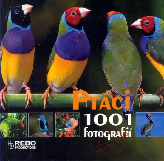 Kniha: Ptáci - 1001 fotografiíkolektív autorov