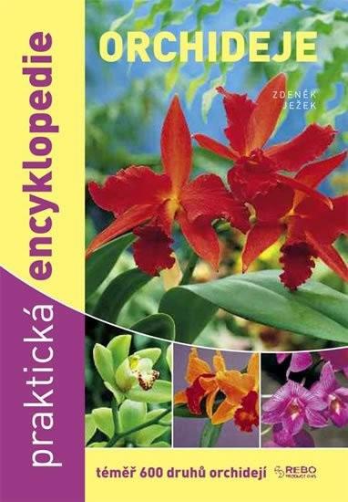 Kniha: Orchideje - Praktická encyklopedie - téměř 600 druhů orchidejí - 5.vydání - Ježek Zdeněk