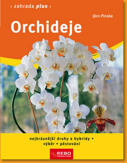 Kniha: Orchideje - Zahrada plus - 8. vydání - Pinske Jörn