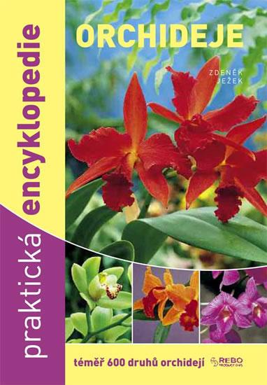 Kniha: Orchideje - Praktická encyklopedie - téměř 600 druhů orchidejí - 6. vydání - Ježek Zdeněk