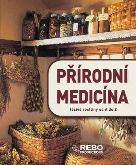 Kniha: Přírodní medicína - 12. vydání - Iburg Anne