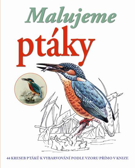 Kniha: Malujeme ptákyautor neuvedený
