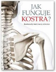 Jak funguje kostra?