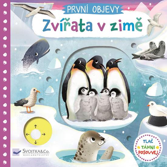 Kniha: Zvířata v zimě - První objevy - Wren Jenny