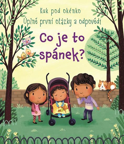 Kniha: Co je to spánek? - Daynes Katie