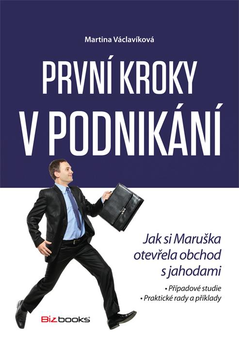 Kniha: První kroky v podnikání - Martina Václavíková