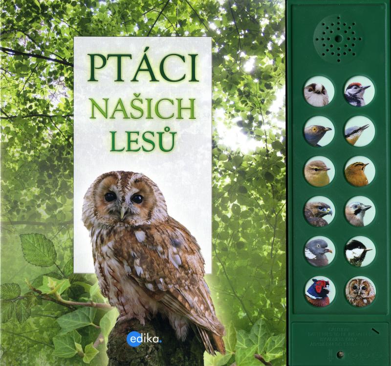 Kniha: Ptáci našich lesů - Andrea  Pinnington, Caz Buckingham