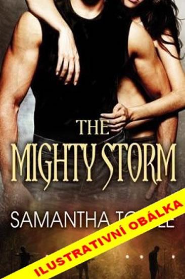 Kniha: Mighty Storm 1 - Bouřlivák - Towle Samantha