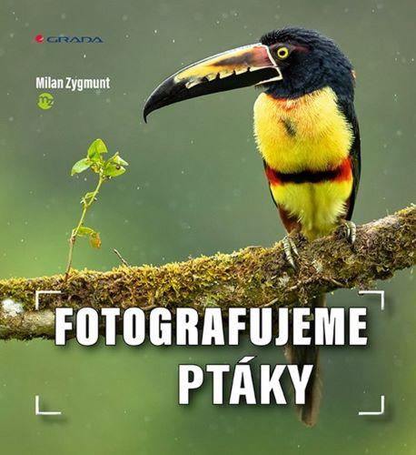 Kniha: Fotografujeme ptáky - Zygmunt Milan