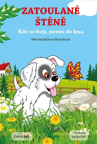 Kniha: Zatoulané štěně - Kdo se bojí, nesmí do - Hudáčková Brochová Věra