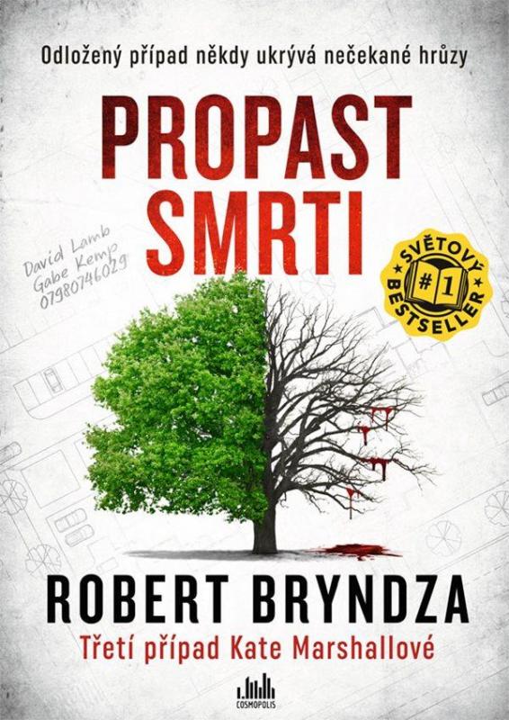 Kniha: Propast smrti - Bryndza Robert