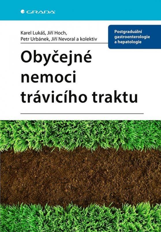 Kniha: Obyčejné nemoci trávicího traktu - Lukáš, Jiří Hoch Karel