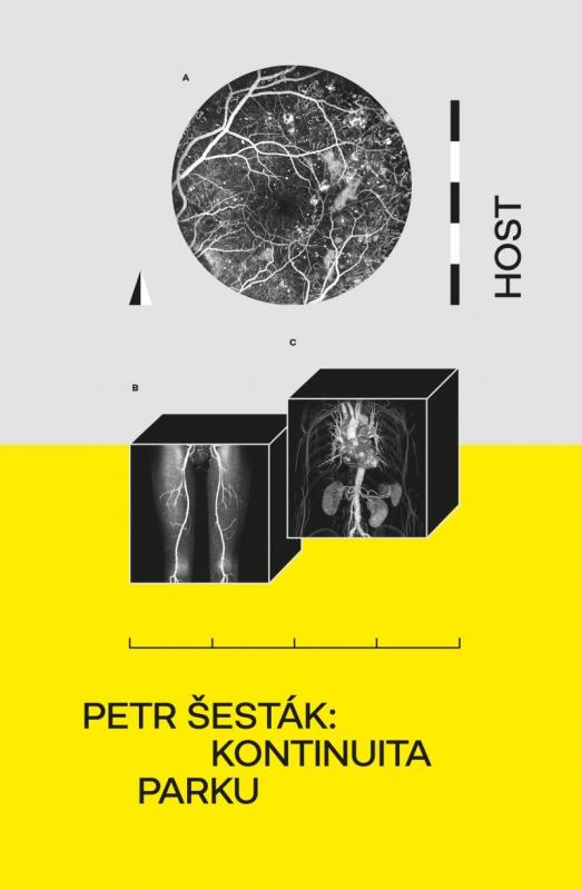 Kniha: Kontinuita parku - Šesták Petr