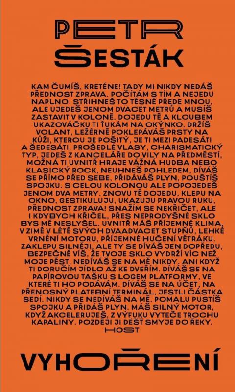 Kniha: Vyhoření - Šesták Petr