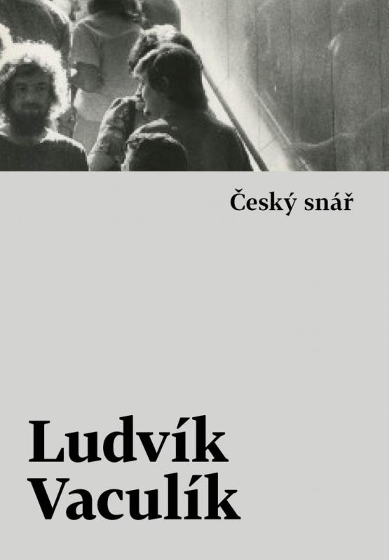 Kniha: Český snář - Vaculík Ludvík