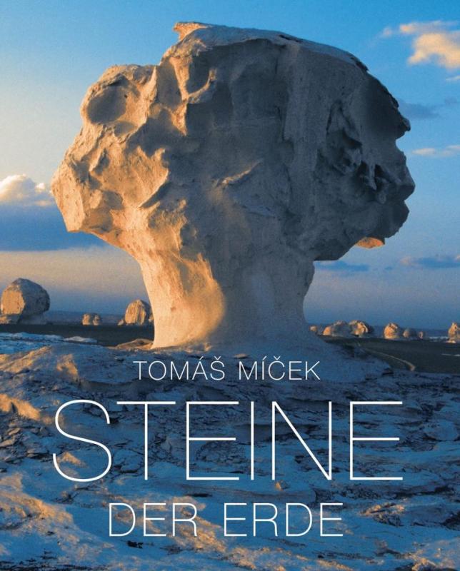 Kniha: Steine der Erde - Míček Tomáš
