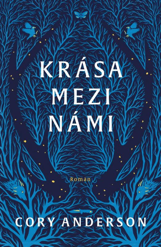 Kniha: Krása mezi námi - Anderson Cory