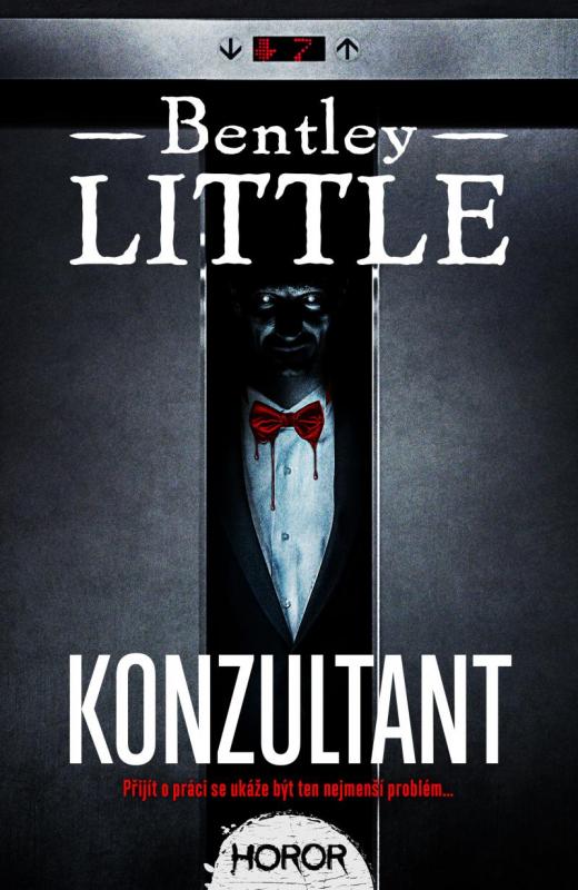 Kniha: Konzultant - Little Bentley