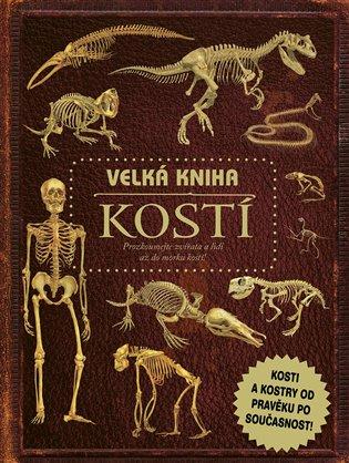 Kniha: Velká kniha kostí - Llewellyn Claire