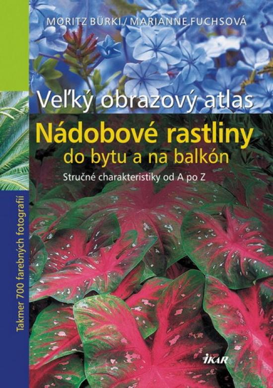 Kniha: Veľký obrazový atlas - Nádobové rastliny do bytu a na balkónkolektív autorov