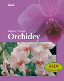 Orchidey